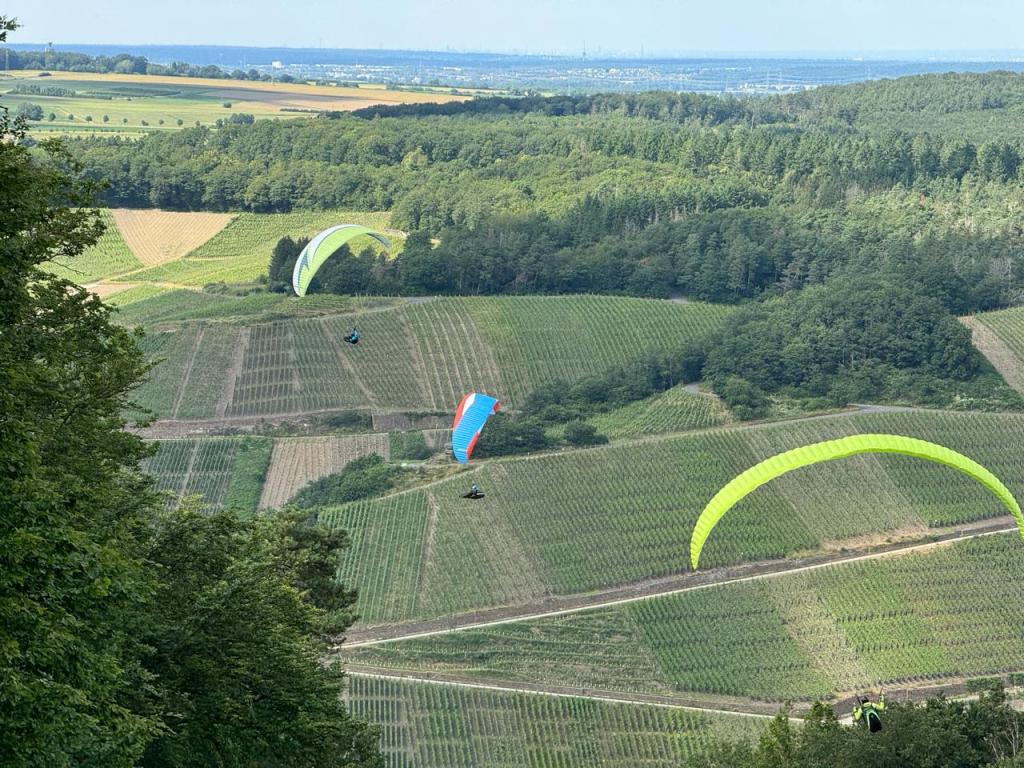 Mehr über den Artikel erfahren Mal Top mal Hopp