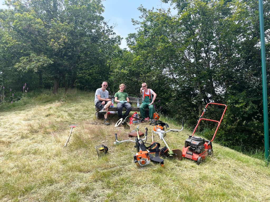 Mehr über den Artikel erfahren Neues aus dem Dschungelbuch